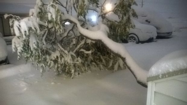 Winter Storm Atlas